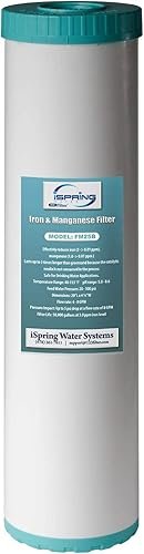 What Is an Iron Manganese Filter?