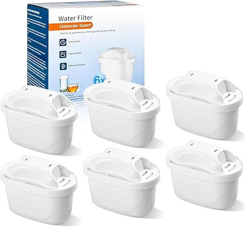 What Is a Brita Filter Change Interval?