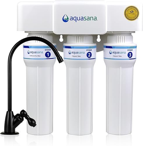 What Is an Aquasana Under Sink Filter?